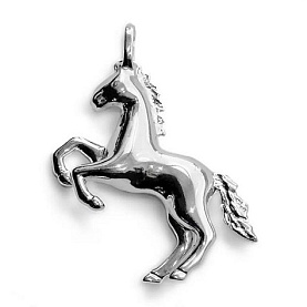 Подвеска EFREMOV - Серебро 925 (арт. 13000113879)